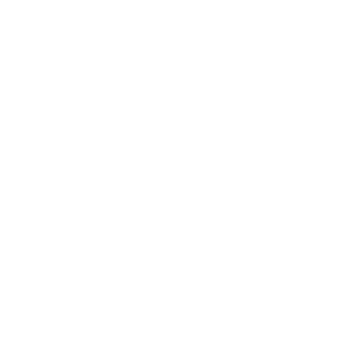 Ecommerce Icon